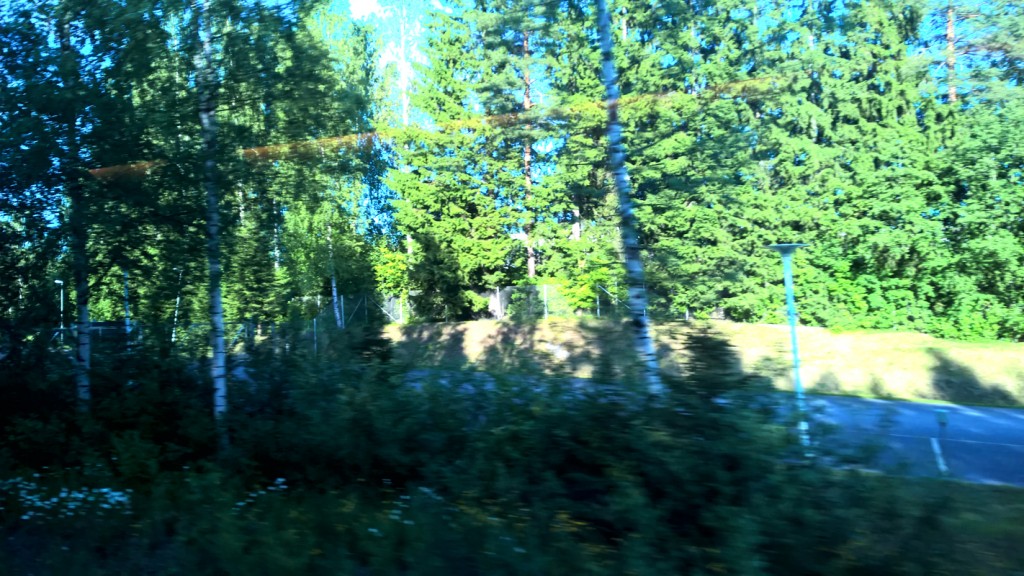 006 Pusikko jatkuu