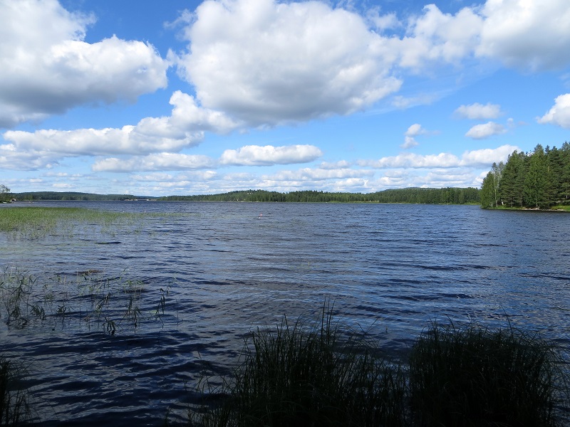 Nurmesjärvi