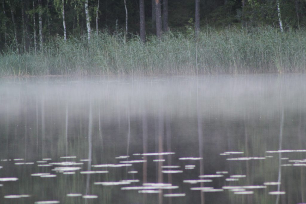 aamu-usvaa järven pinnalla