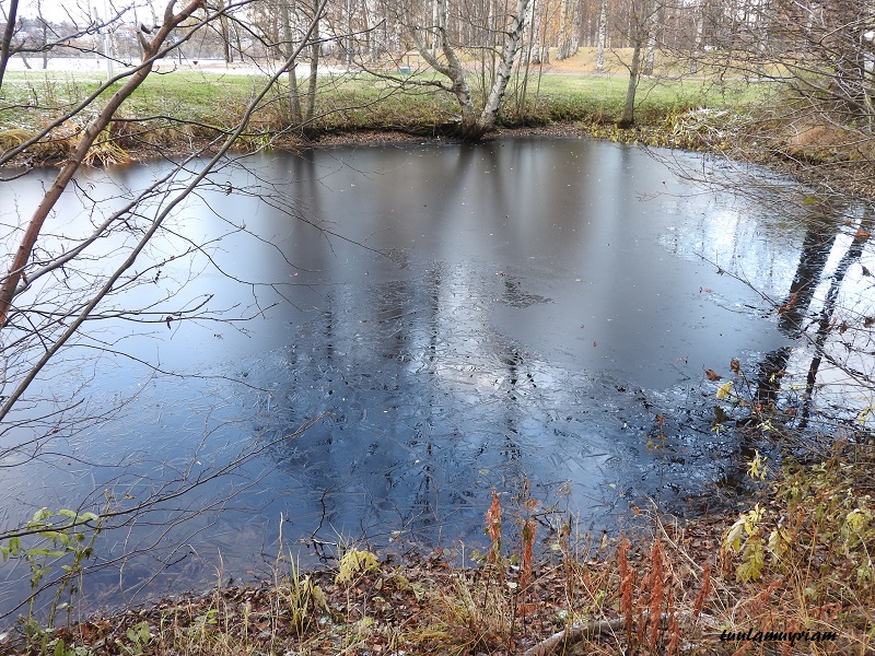 Väinölänniemellä urheilukentän vieressä puiden siimeksessä on pieni lampi, jonka rannat jäätyvät  pakkasyön jälkeen ensimmäisenä.